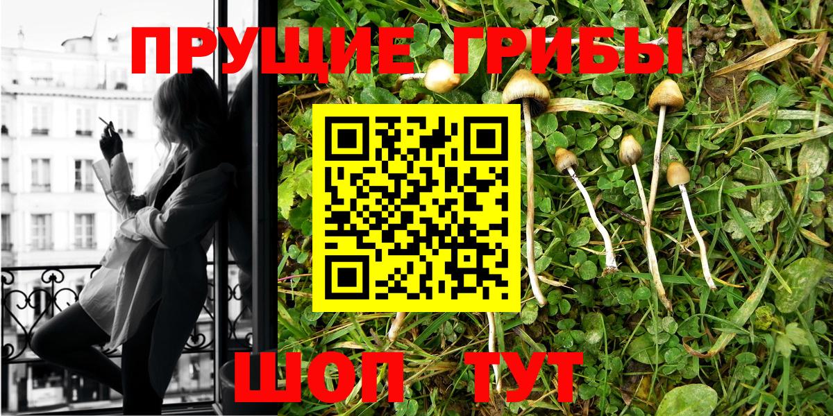 Псилоцибиновые грибы Magic Shrooms  Вход с VPN  Новоуральск 